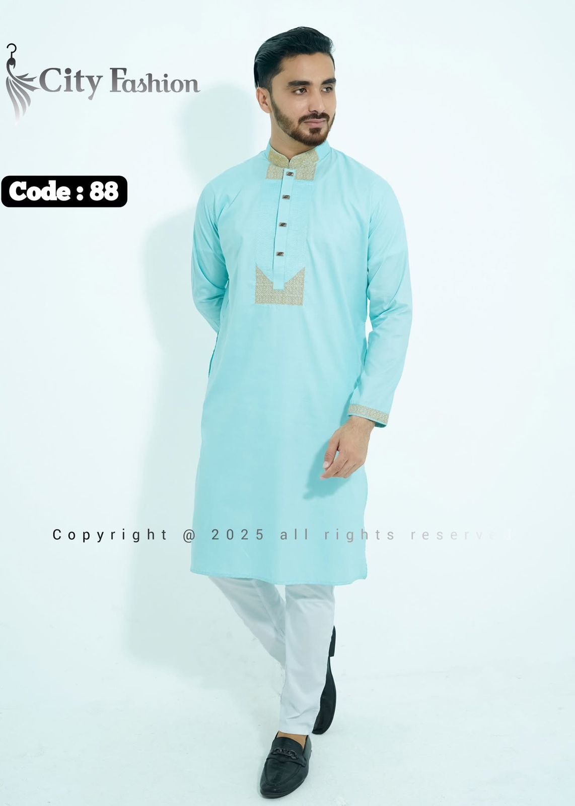Sky Panjabi Code 88